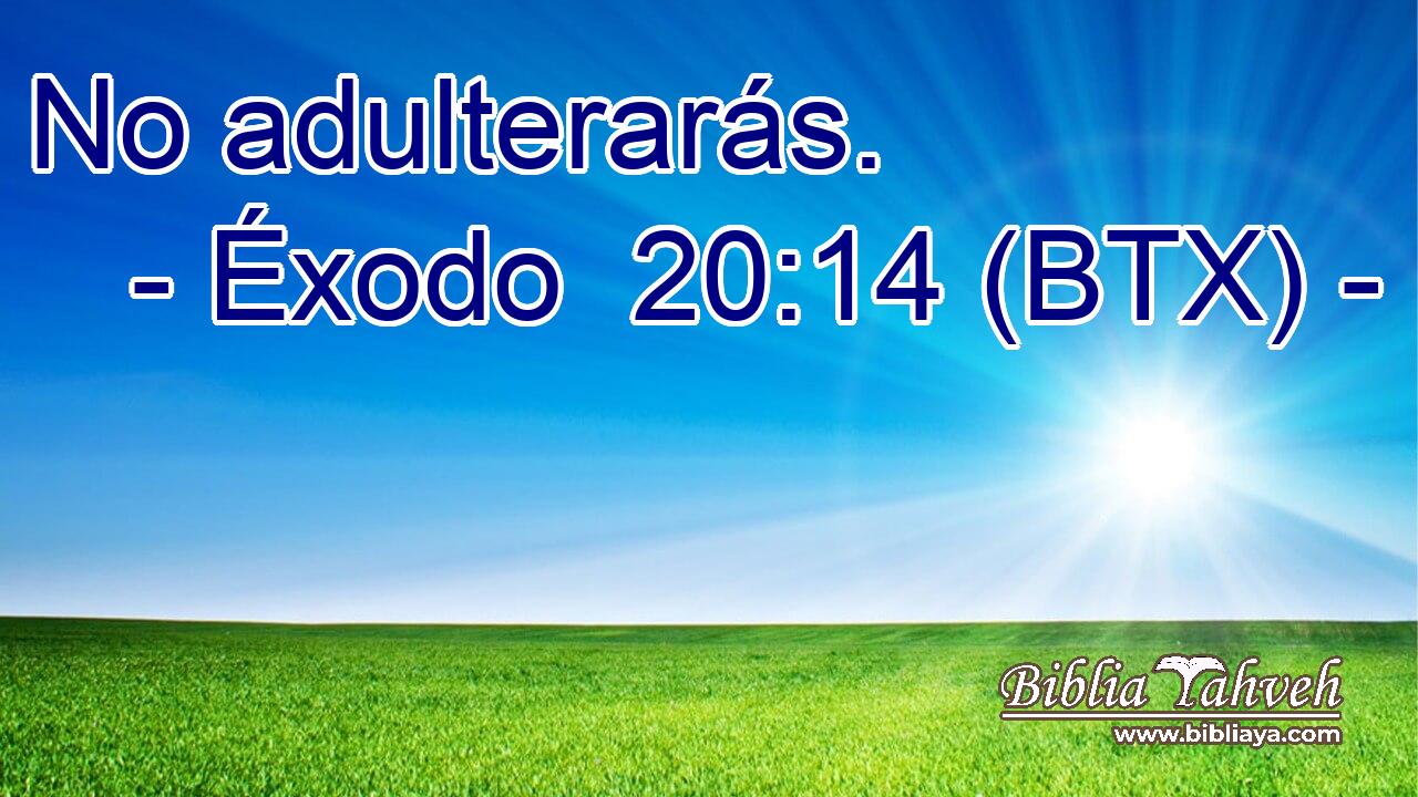 No adulterarás.