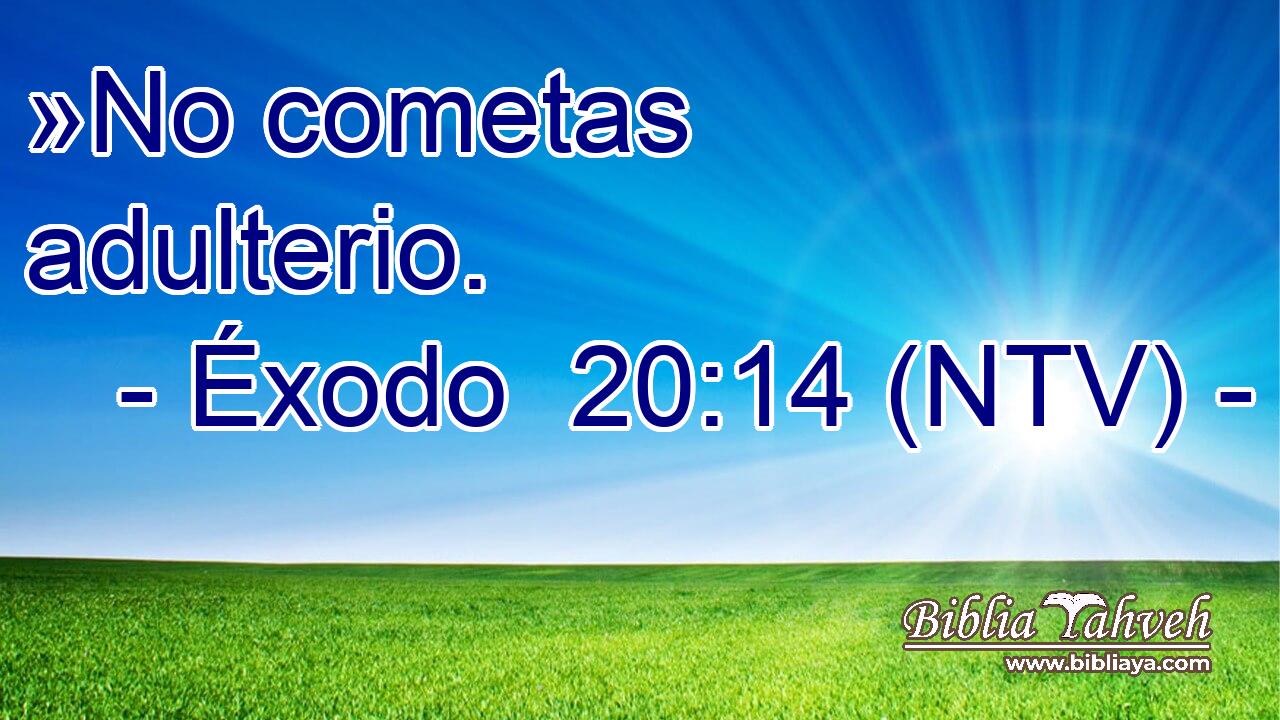 »No cometas adulterio.