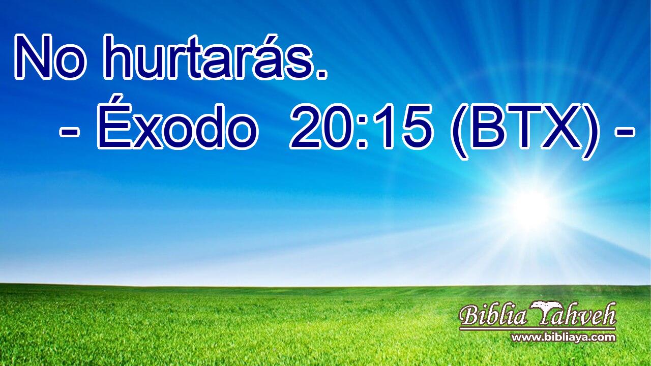 No hurtarás.