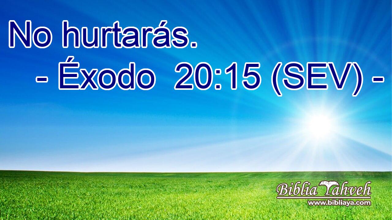 No hurtarás.