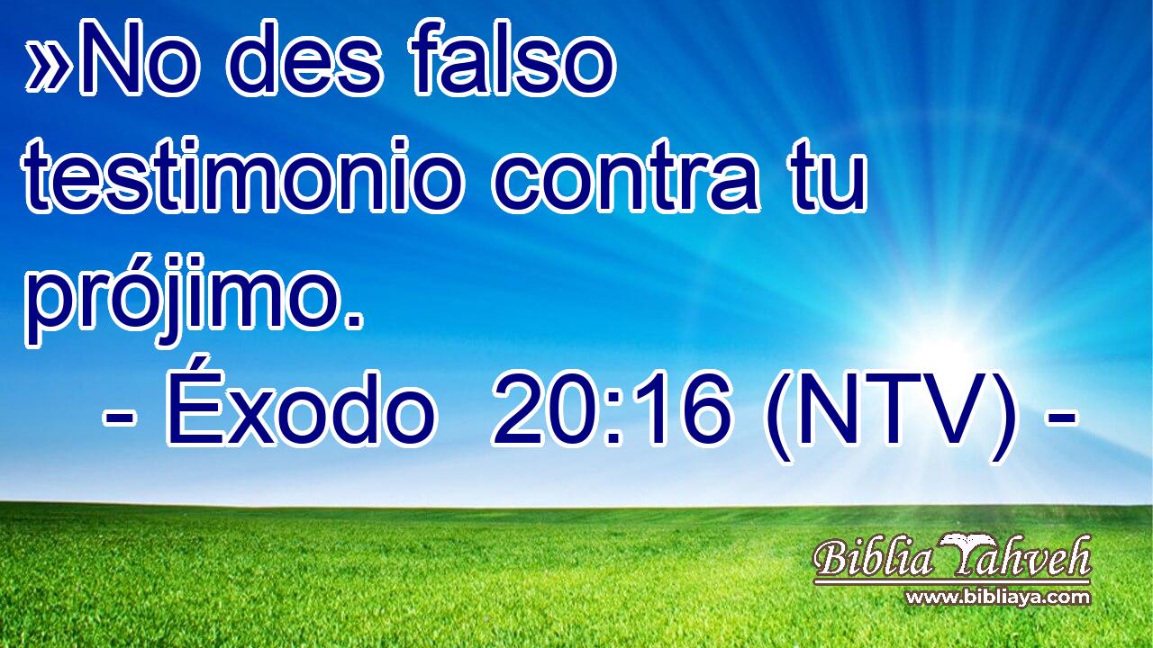 »No des falso testimonio contra tu prójimo.