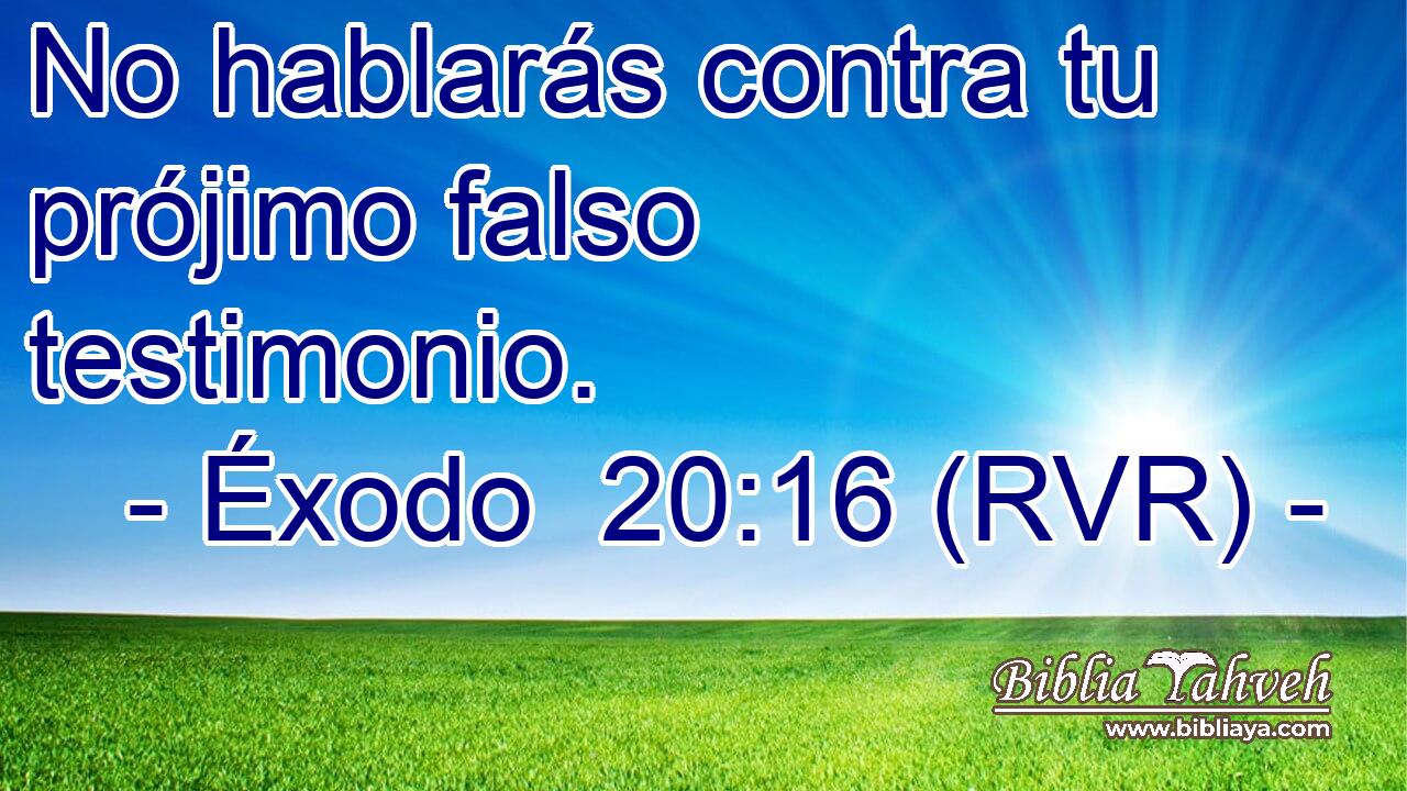 no darás falso testimonio contra tu prójimo