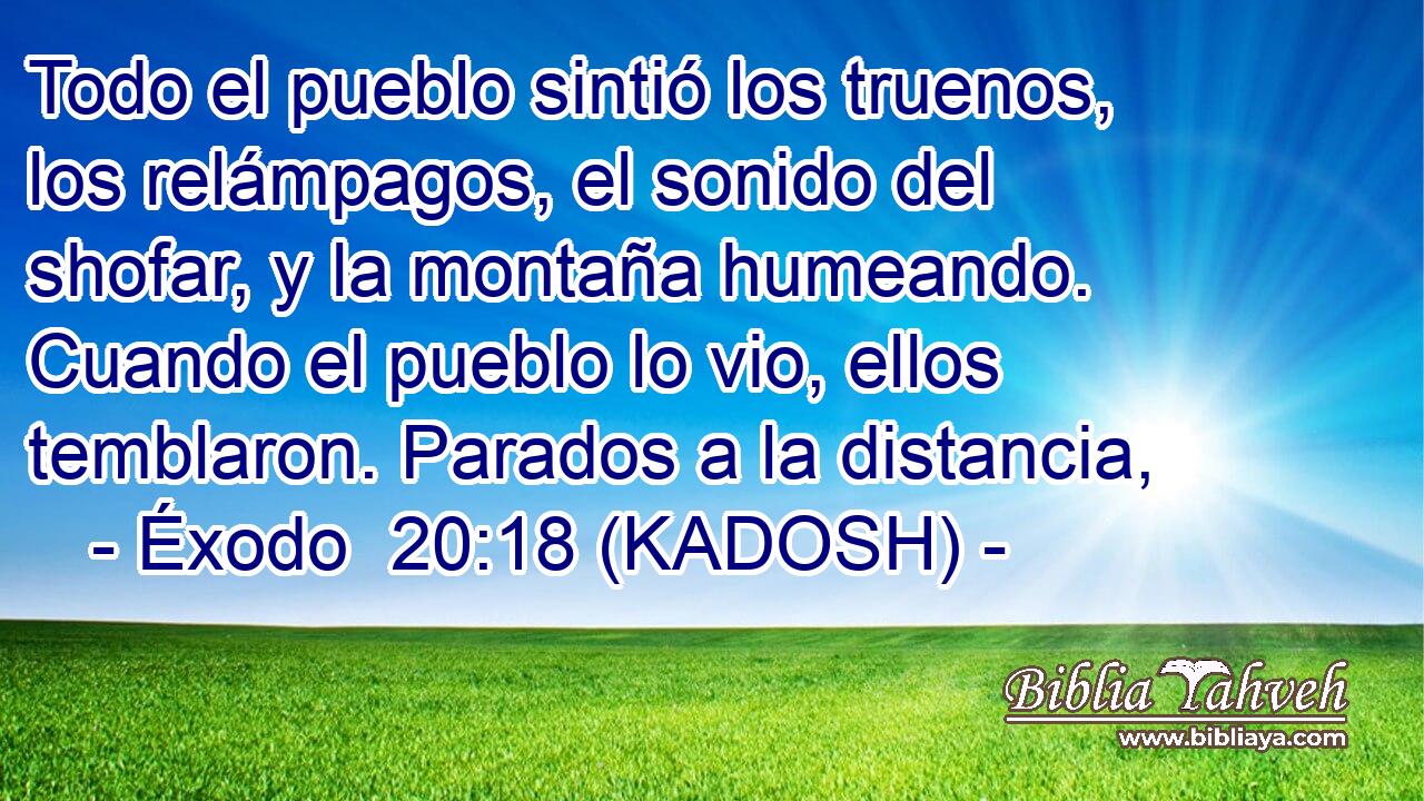  Todo el pueblo sintió los truenos, los relámpagos, el sonido del shofar, y la montaña humeando. Cuando el pueblo lo vio, ellos temblaron. Parados a la distancia, 