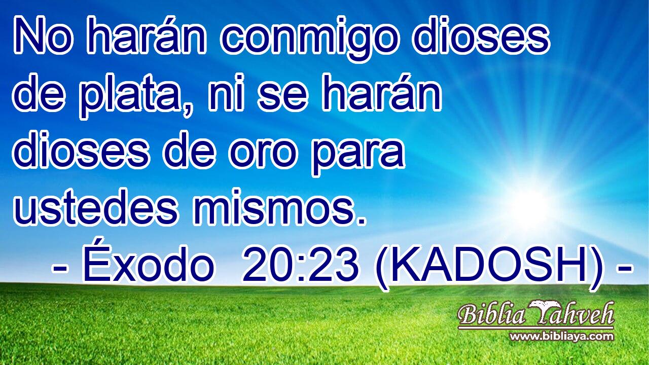  No harán conmigo dioses de plata, ni se harán dioses de oro para ustedes mismos. 