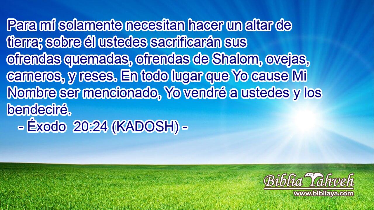  Para mí solamente necesitan hacer un altar de tierra; sobre él ustedes sacrificarán sus ofrendas quemadas, ofrendas de Shalom, ovejas, carneros, y reses. En todo lugar que Yo cause Mi Nombre ser mencionado, Yo vendré a ustedes y los bendeciré. 
