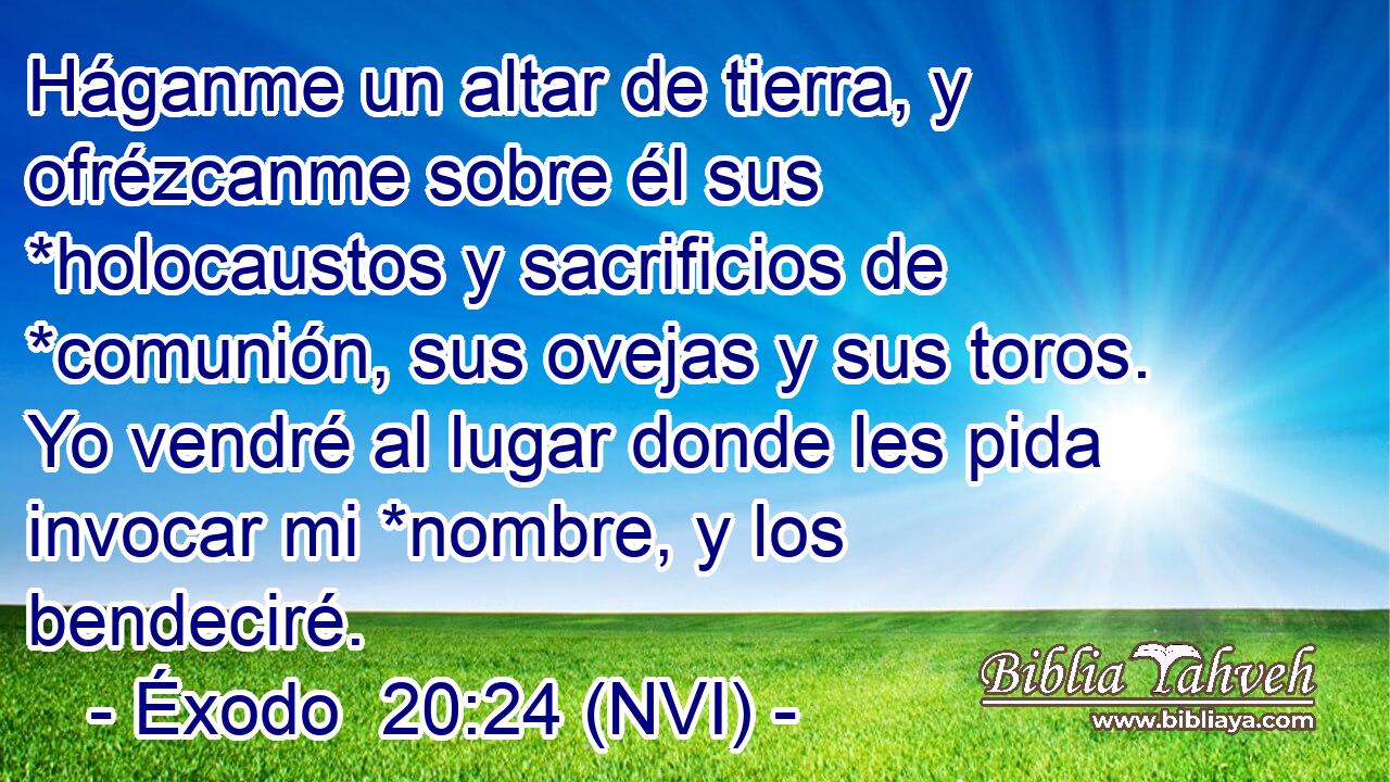  Háganme un altar de tierra, y ofrézcanme sobre él sus *holocaustos y sacrificios de *comunión, sus ovejas y sus toros. Yo vendré al lugar donde les pida invocar mi *nombre, y los bendeciré. 