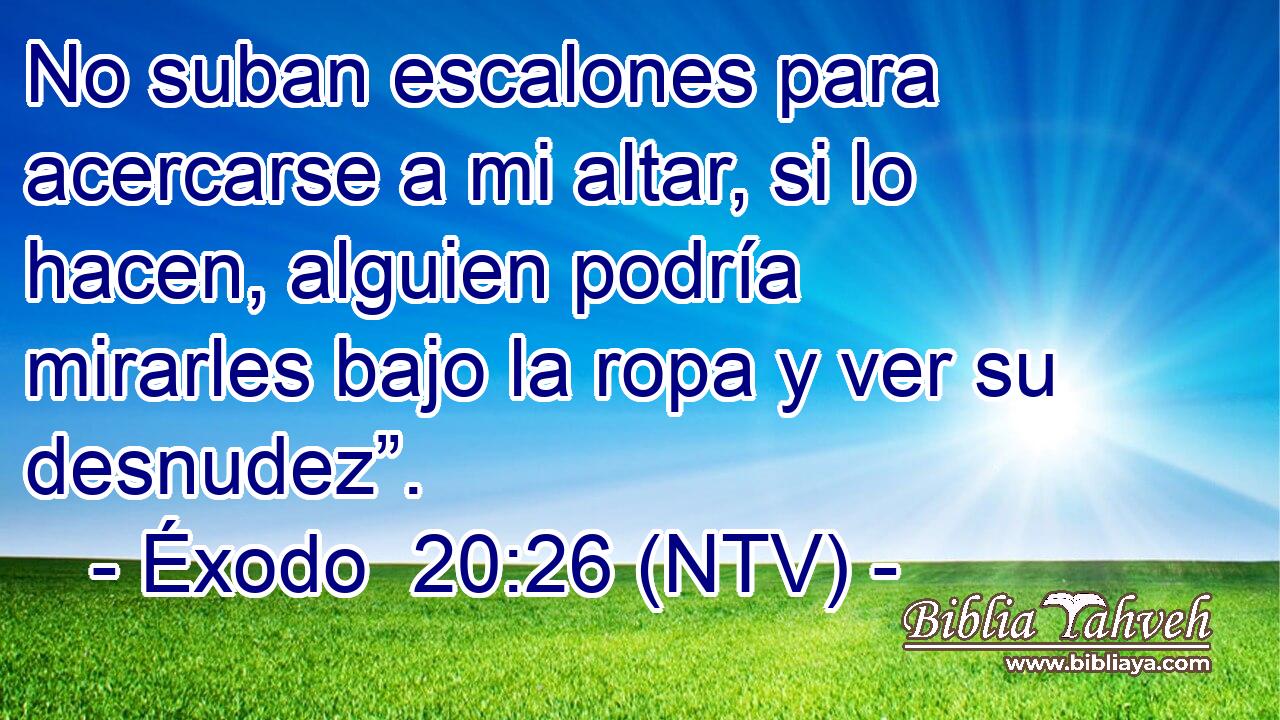No suban escalones para acercarse a mi altar, si lo hacen, alguien podría mirarles bajo la ropa y ver su desnudez”.