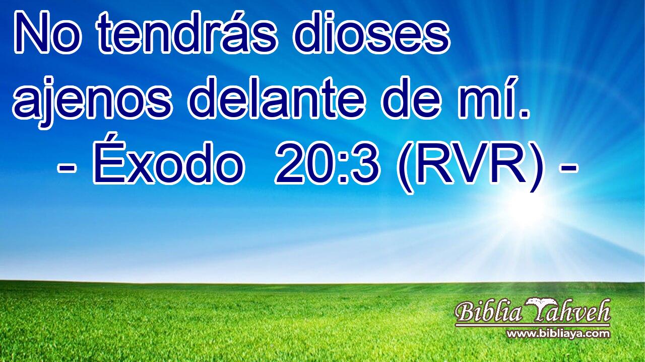 No tendrás dioses ajenos delante de mí.
