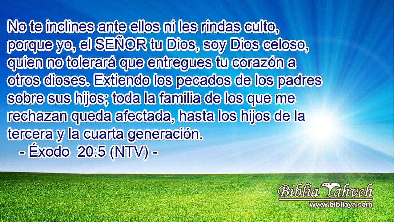 No te inclines ante ellos ni les rindas culto, porque yo, el SEÑOR tu Dios, soy Dios celoso, quien no tolerará que entregues tu corazón a otros dioses. Extiendo los pecados de los padres sobre sus hijos; toda la familia de los que me rechazan queda afectada, hasta los hijos de la tercera y la cuarta generación.