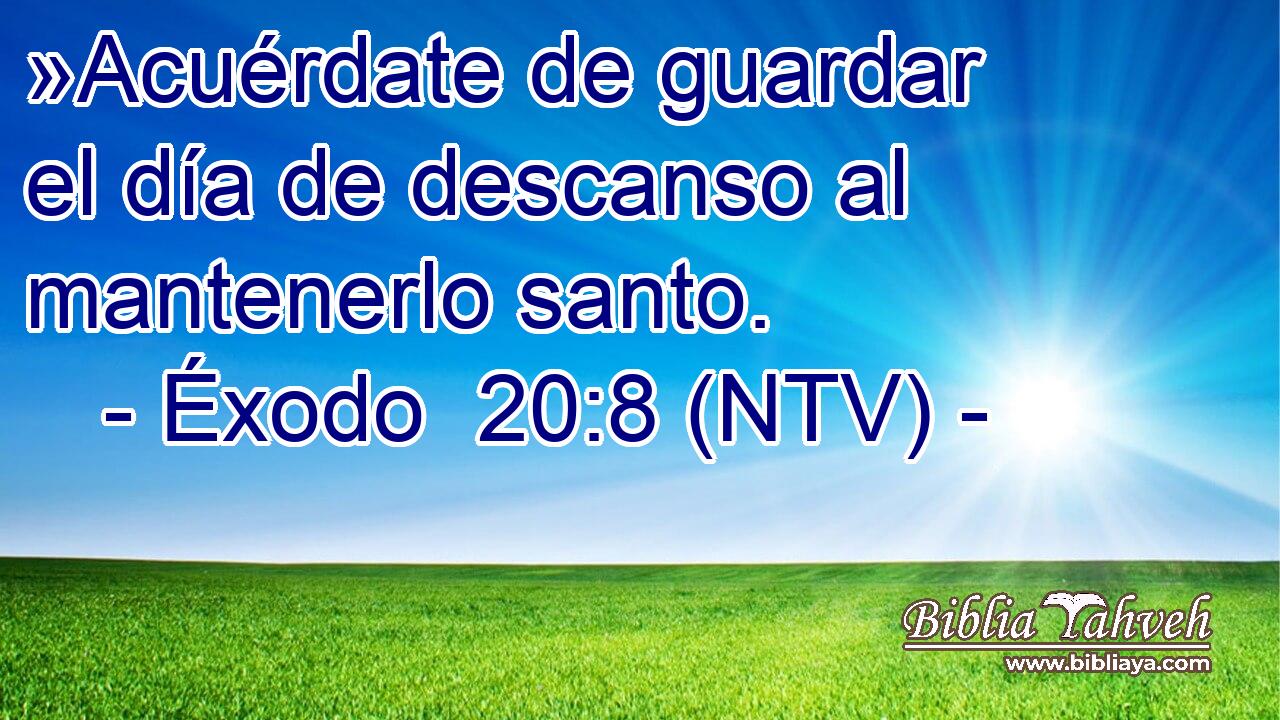 »Acuérdate de guardar el día de descanso al mantenerlo santo.