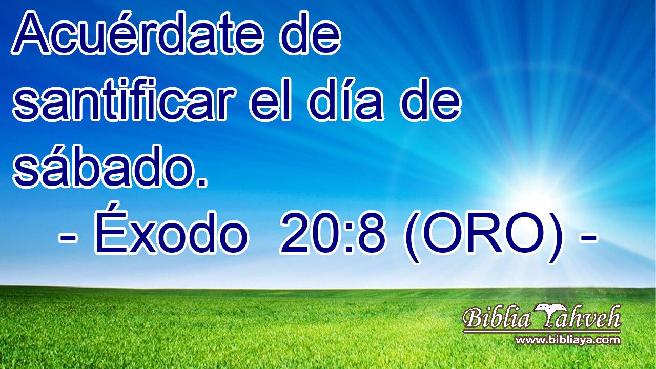  Acuérdate de santificar el día de sábado. 