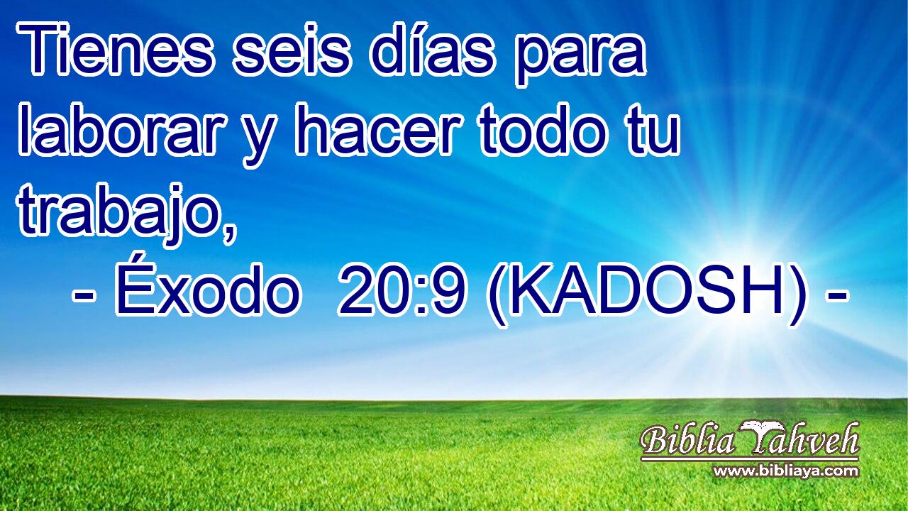  Tienes seis días para laborar y hacer todo tu trabajo, 