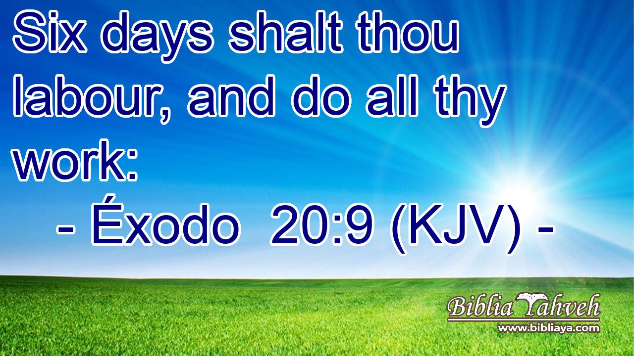 Six days shalt thou labour, and do all thy work: