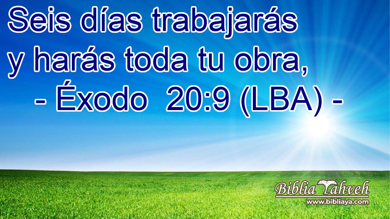 Seis días trabajarás y harás toda tu obra,