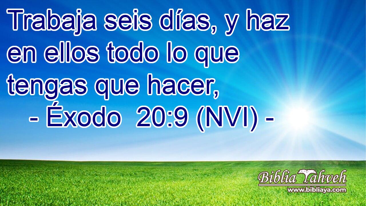  Trabaja seis días, y haz en ellos todo lo que tengas que hacer, 