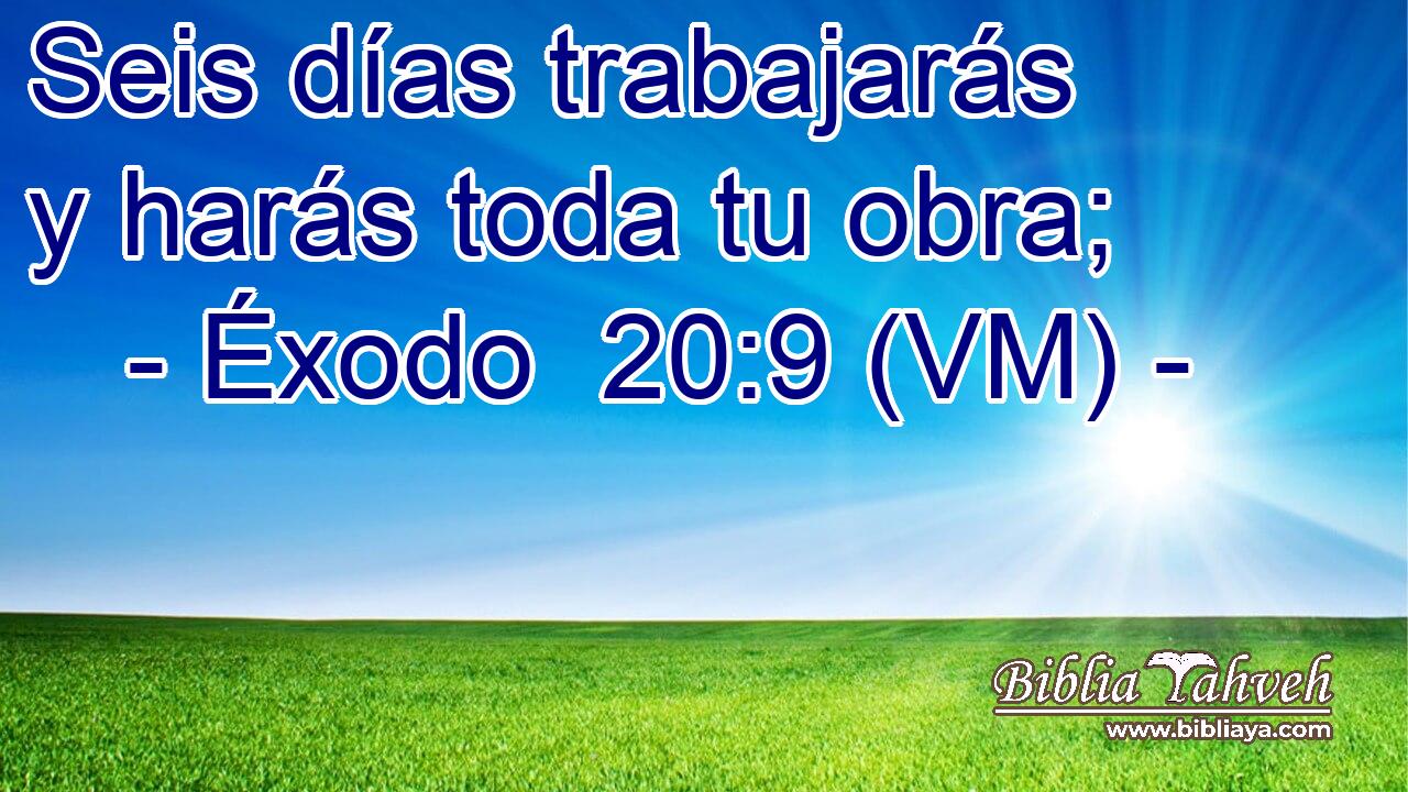  Seis días trabajarás y harás toda tu obra; 
