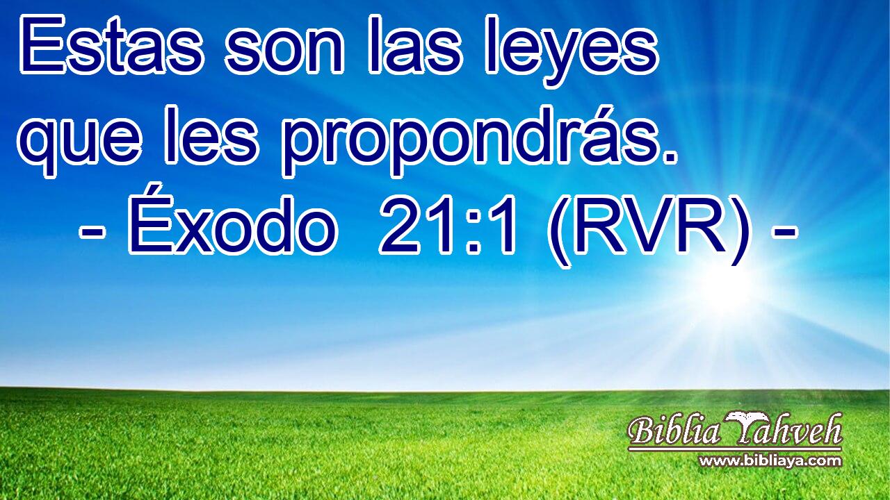 Estas son las leyes que les propondrás.
