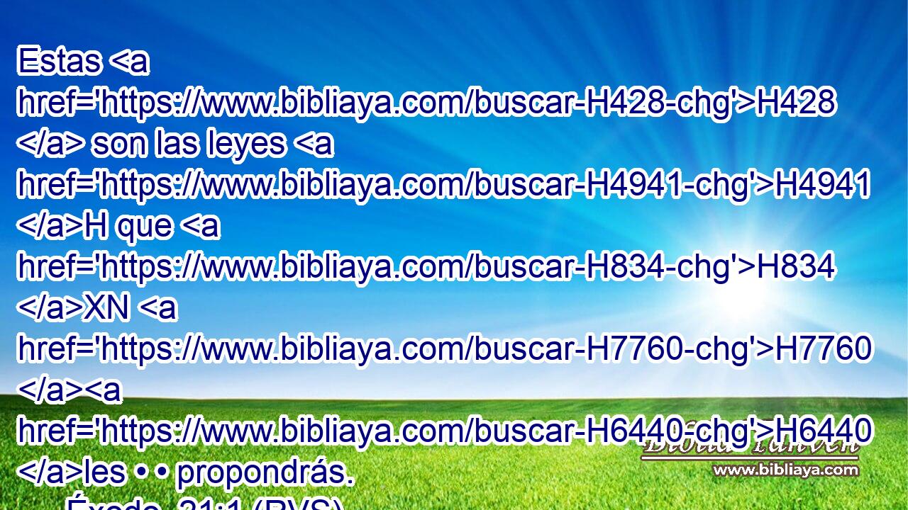 Estas H428  son las leyes H4941 H que H834 XN H7760 H6440 les • • propondrás. 