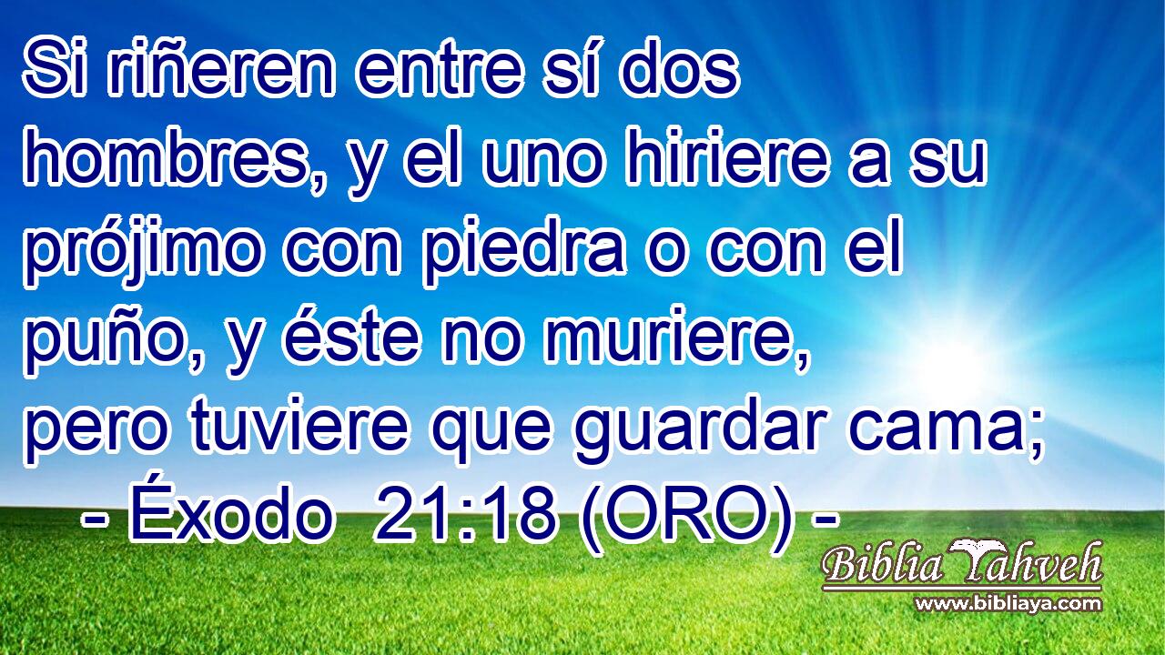  Si riñeren entre sí dos hombres, y el uno hiriere a su prójimo con piedra o con el puño, y éste no muriere, pero tuviere que guardar cama; 