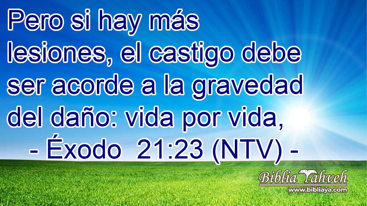 Pero si hay más lesiones, el castigo debe ser acorde a la gravedad del daño: vida por vida,