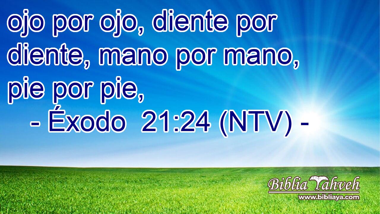 ojo por ojo, diente por diente, mano por mano, pie por pie,