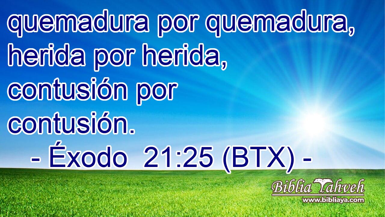quemadura por quemadura, herida por herida, contusión por contusión.