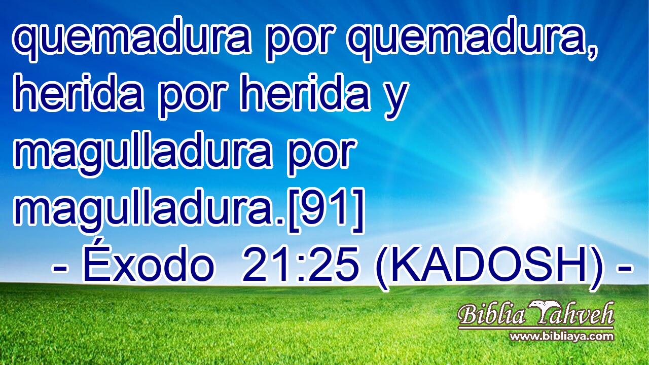  quemadura por quemadura, herida por herida y magulladura por magulladura.[91] 