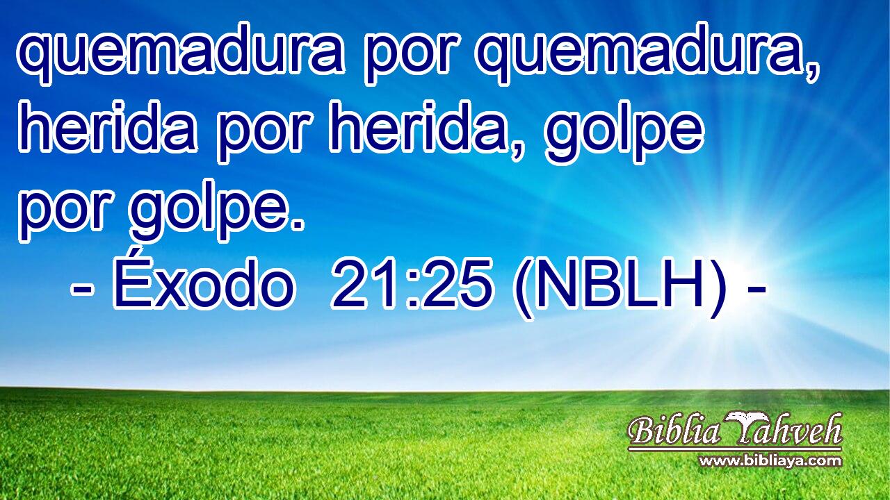  quemadura por quemadura, herida por herida, golpe por golpe. 