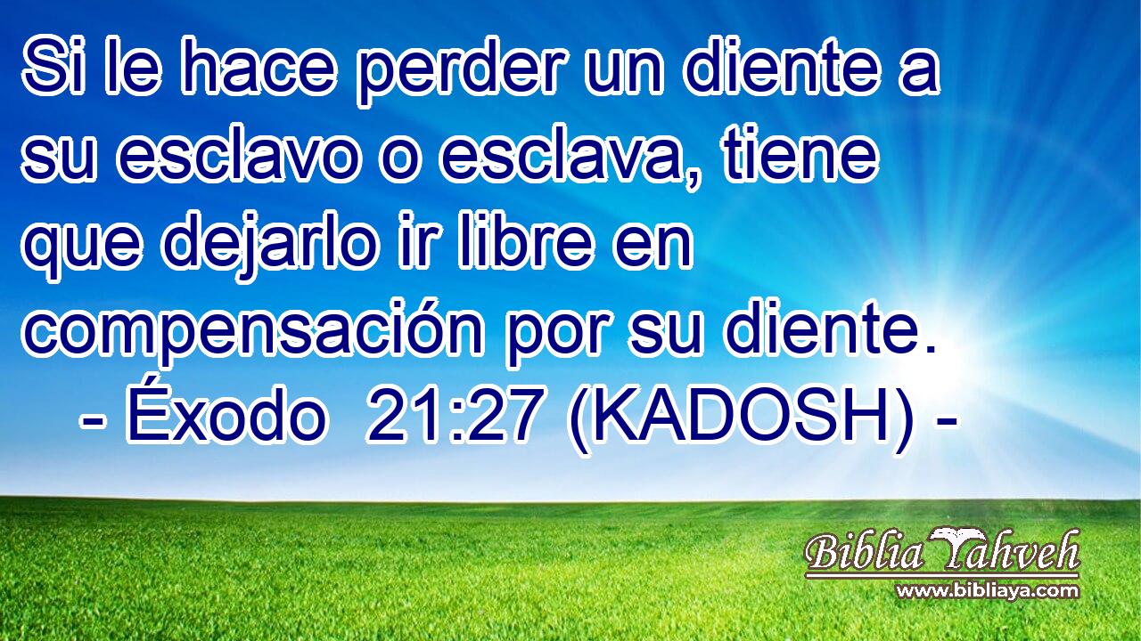  Si le hace perder un diente a su esclavo o esclava, tiene que dejarlo ir libre en compensación por su diente. 