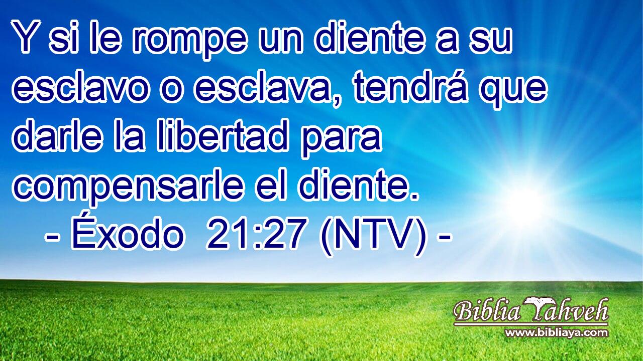 Y si le rompe un diente a su esclavo o esclava, tendrá que darle la libertad para compensarle el diente.