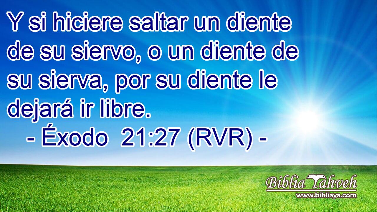 Y si hiciere saltar un diente de su siervo, o un diente de su sierva, por su diente le dejará ir libre.