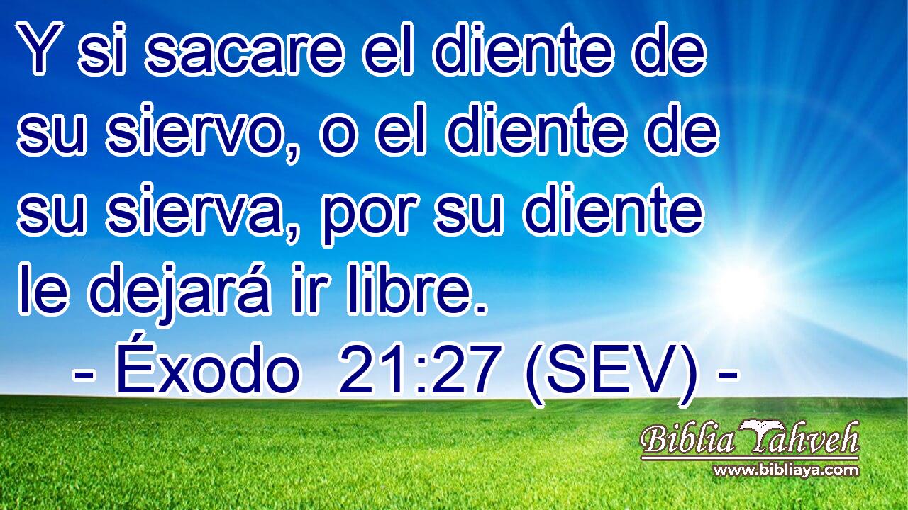 Y si sacare el diente de su siervo, o el diente de su sierva, por su diente le dejará ir libre.