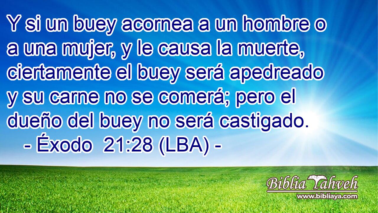 Y si un buey acornea a un hombre o a una mujer, y le causa la muerte, ciertamente el buey será apedreado y su carne no se comerá; pero el dueño del buey no será castigado.