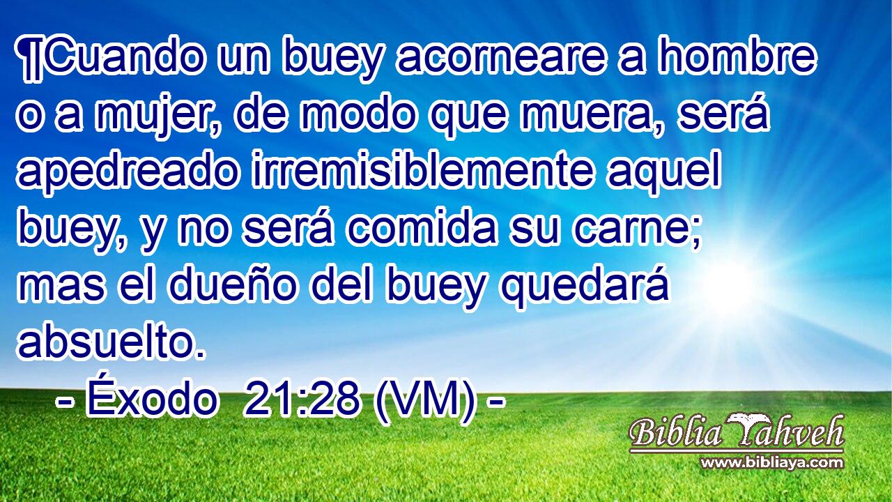  ¶Cuando un buey acorneare a hombre o a mujer, de modo que muera, será apedreado irremisiblemente aquel buey, y no será comida su carne; mas el dueño del buey quedará absuelto. 