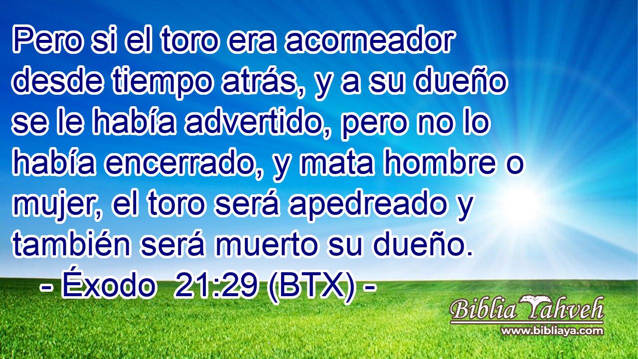 Pero si el toro era acorneador desde tiempo atrás, y a su dueño se le había advertido, pero no lo había encerrado, y mata hombre o mujer, el toro será apedreado y también será muerto su dueño.