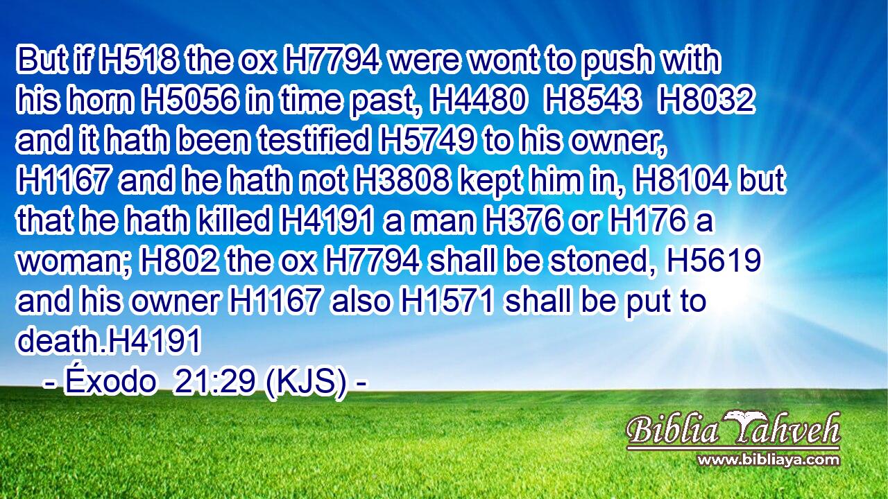 But if H518 the ox H7794 were wont to push with his horn H5056 in time past, H4480  H8543  H8032 and it hath been testified H5749 to his owner, H1167 and he hath not H3808 kept him in, H8104 but that he hath killed H4191 a man H376 or H176 a woman; H802 the ox H7794 shall be stoned, H5619 and his owner H1167 also H1571 shall be put to death.H4191