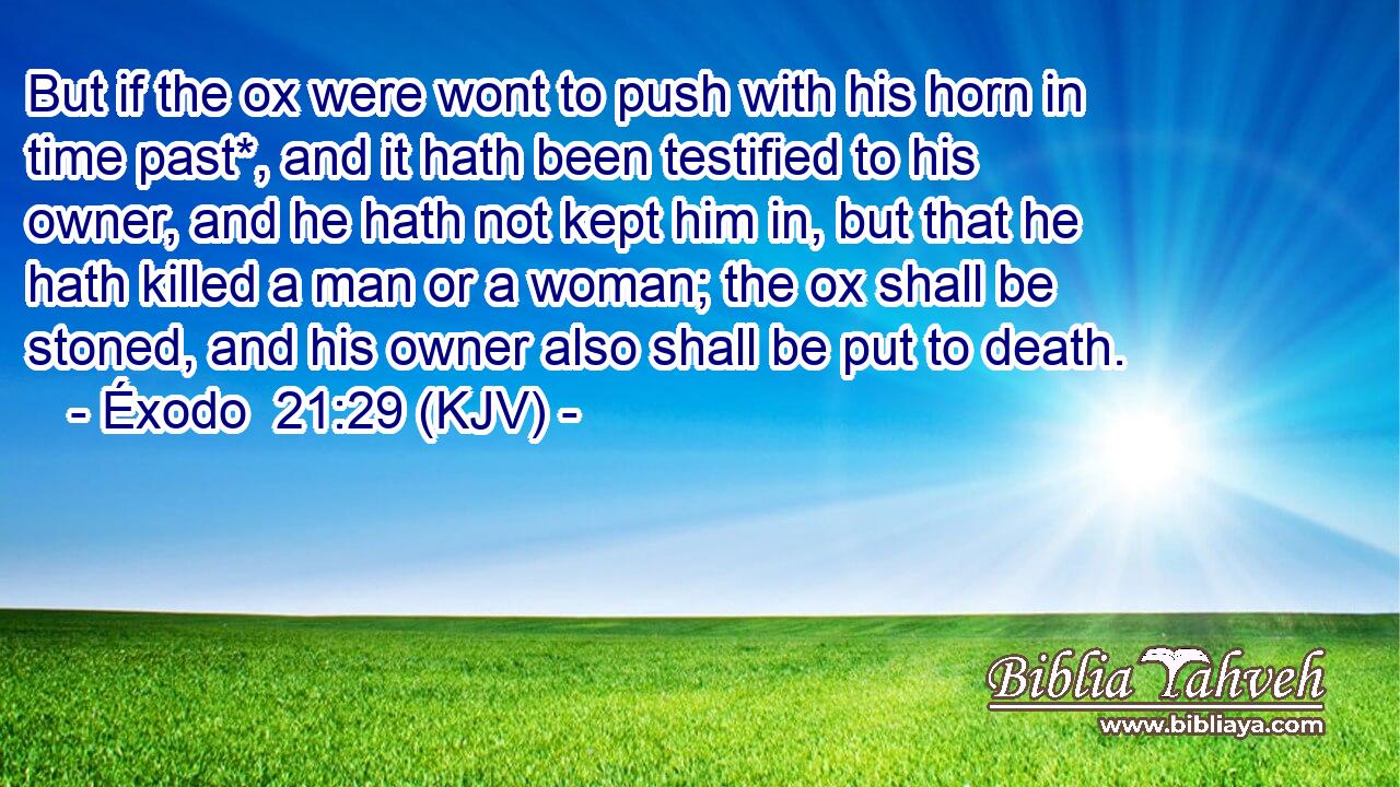 But if the ox were wont to push with his horn in time past*, and it hath been testified to his owner, and he hath not kept him in, but that he hath killed a man or a woman; the ox shall be stoned, and his owner also shall be put to death.