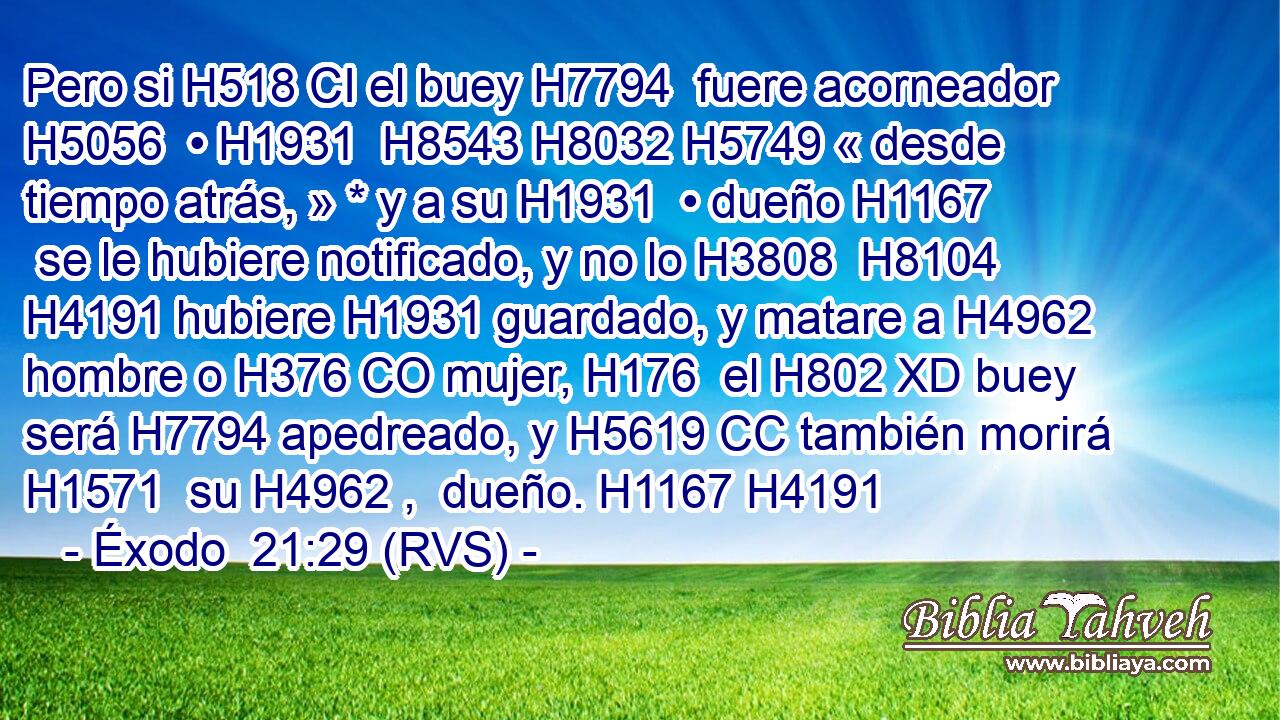 Pero si H518 CI el buey H7794  fuere acorneador H5056  • H1931  H8543 H8032 H5749 « desde tiempo atrás, » * y a su H1931  • dueño H1167  se le hubiere notificado, y no lo H3808  H8104 H4191 hubiere H1931 guardado, y matare a H4962 hombre o H376 CO mujer, H176  el H802 XD buey será H7794 apedreado, y H5619 CC también morirá H1571  su H4962 ,  dueño. H1167 H4191 