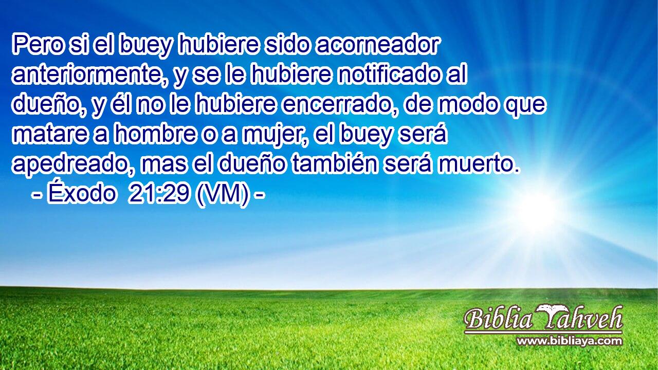  Pero si el buey hubiere sido acorneador anteriormente, y se le hubiere notificado al dueño, y él no le hubiere encerrado, de modo que matare a hombre o a mujer, el buey será apedreado, mas el dueño también será muerto. 