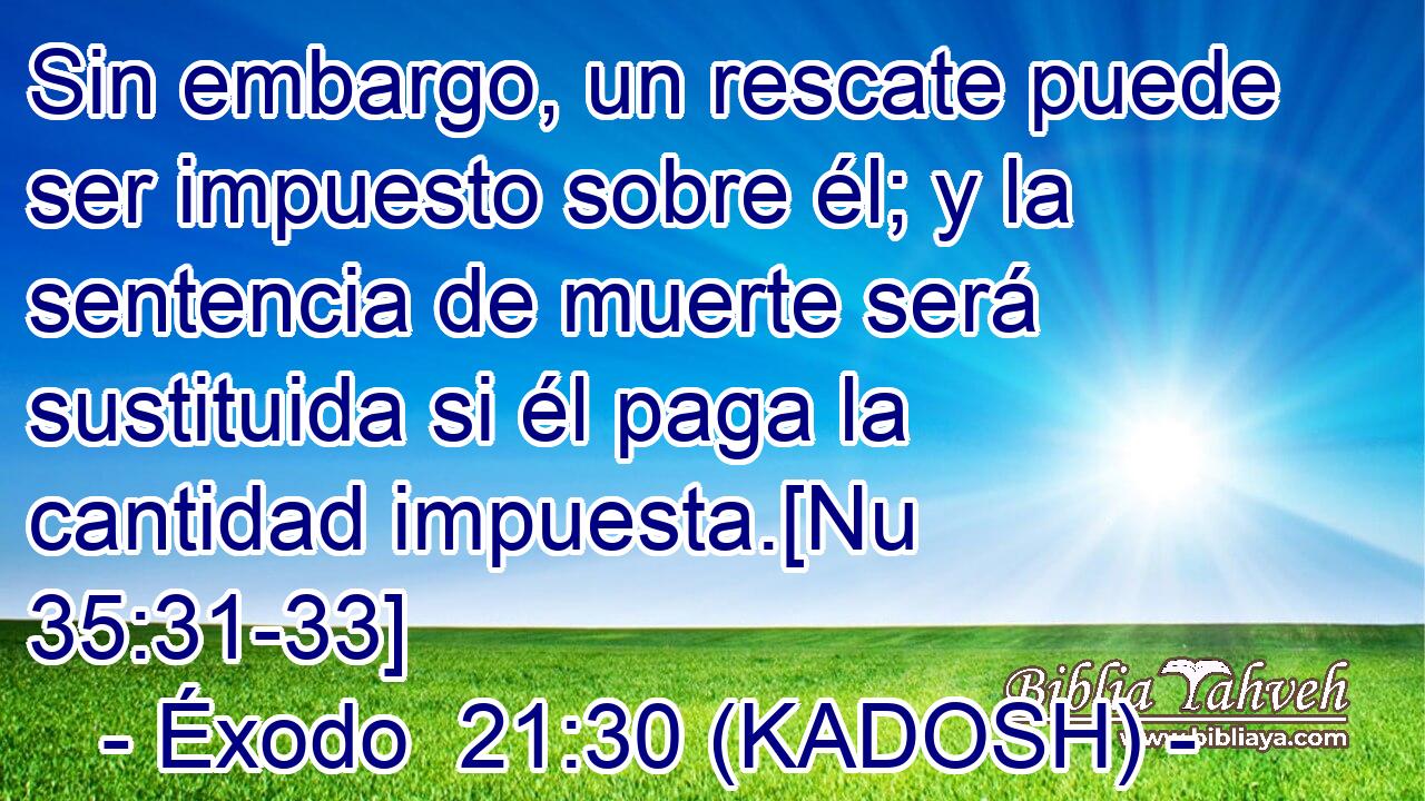  Sin embargo, un rescate puede ser impuesto sobre él; y la sentencia de muerte será sustituida si él paga la cantidad impuesta.[Nu 35:31-33] 