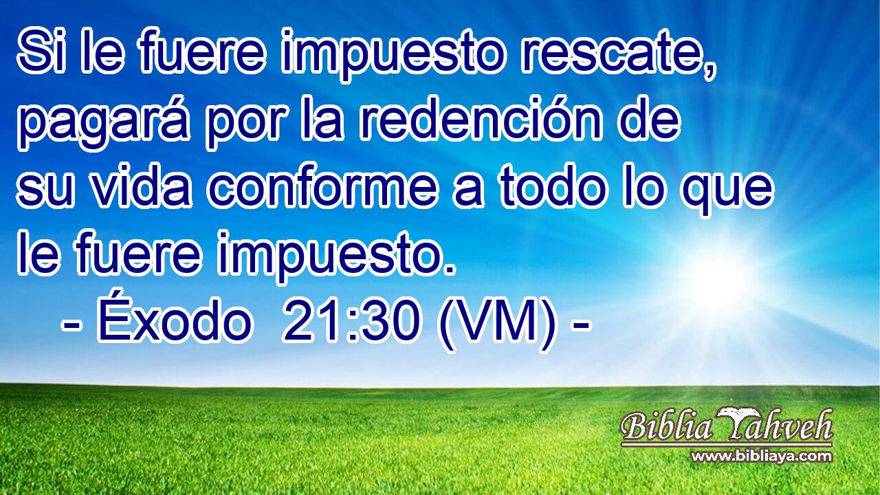  Si le fuere impuesto rescate, pagará por la redención de su vida conforme a todo lo que le fuere impuesto. 