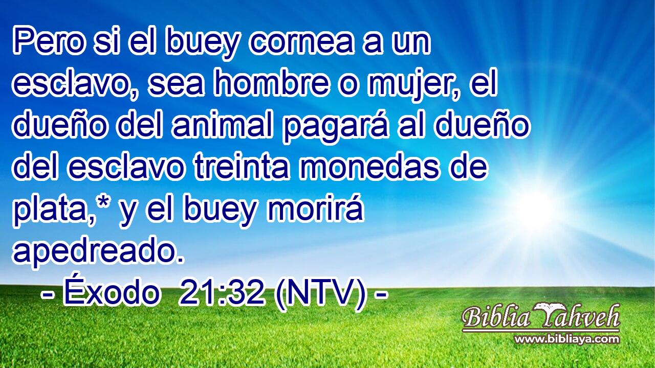 Pero si el buey cornea a un esclavo, sea hombre o mujer, el dueño del animal pagará al dueño del esclavo treinta monedas de plata,* y el buey morirá apedreado.