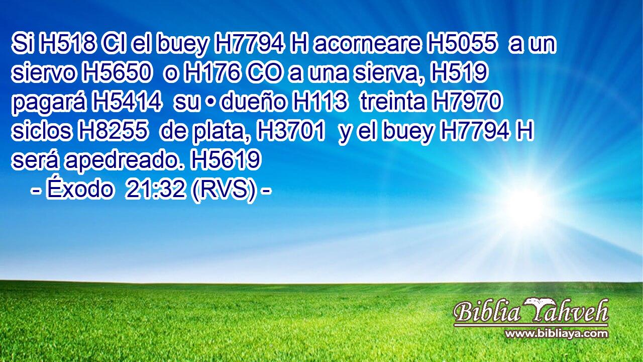 Si H518 CI el buey H7794 H acorneare H5055  a un siervo H5650  o H176 CO a una sierva, H519  pagará H5414  su • dueño H113  treinta H7970  siclos H8255  de plata, H3701  y el buey H7794 H será apedreado. H5619  