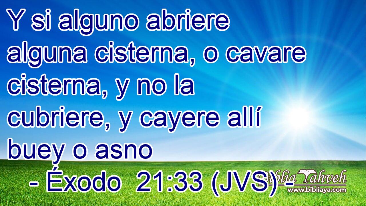 Y si alguno abriere alguna cisterna, o cavare cisterna, y no la cubriere, y cayere allí buey o asno