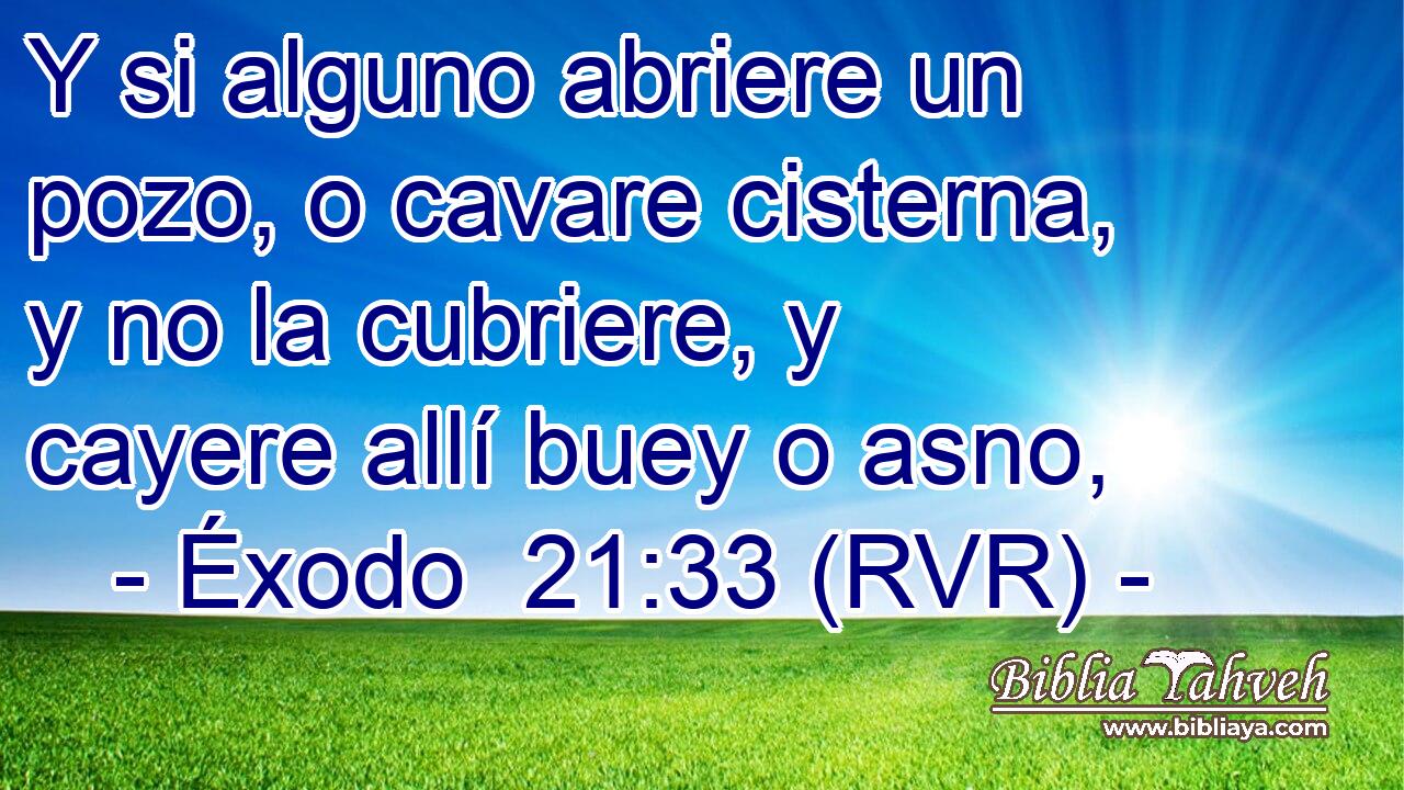 Y si alguno abriere un pozo, o cavare cisterna, y no la cubriere, y cayere allí buey o asno,