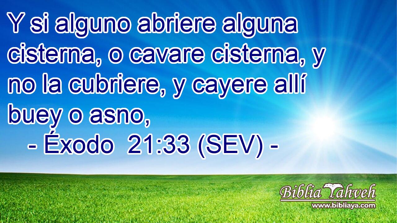 Y si alguno abriere alguna cisterna, o cavare cisterna, y no la cubriere, y cayere allí buey o asno,