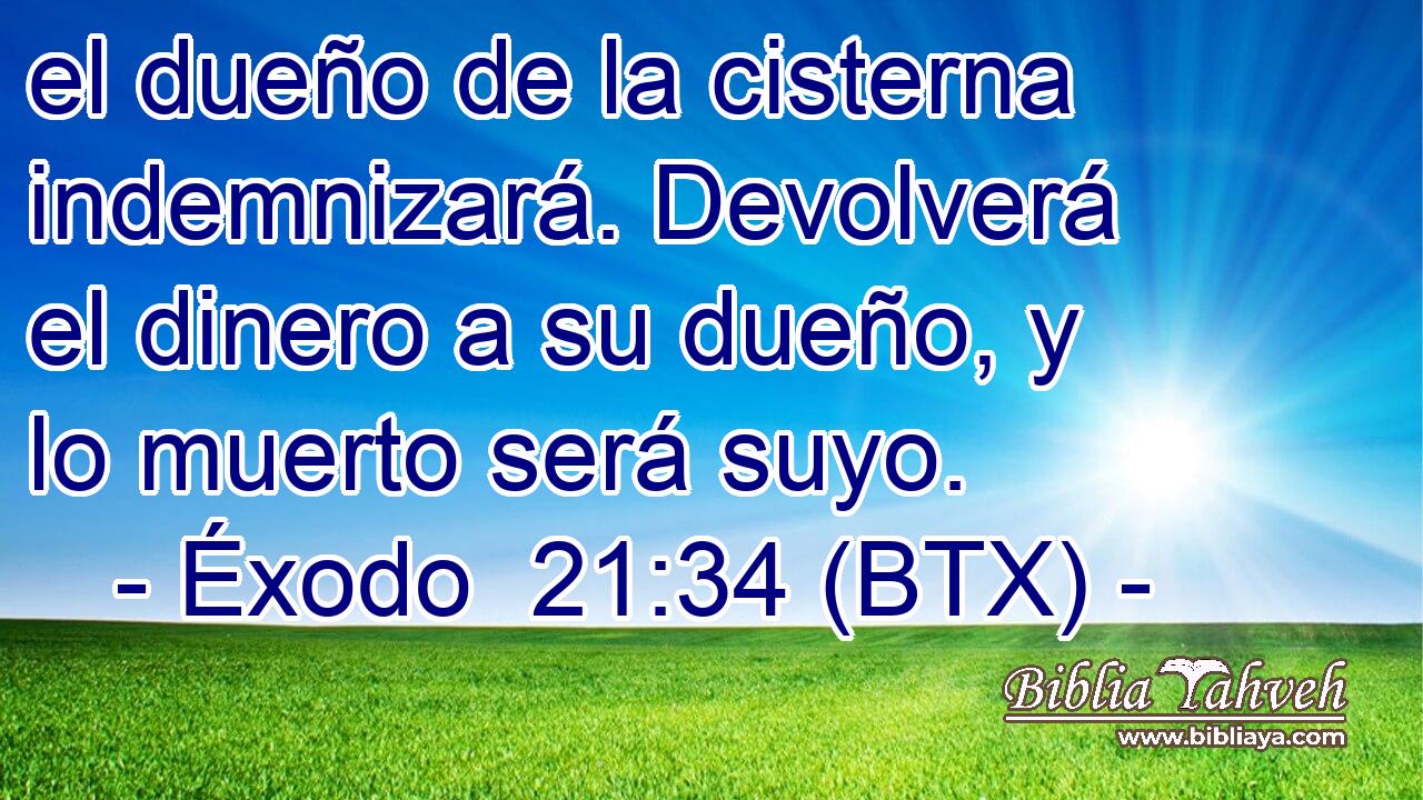 el dueño de la cisterna indemnizará. Devolverá el dinero a su dueño, y lo muerto será suyo.