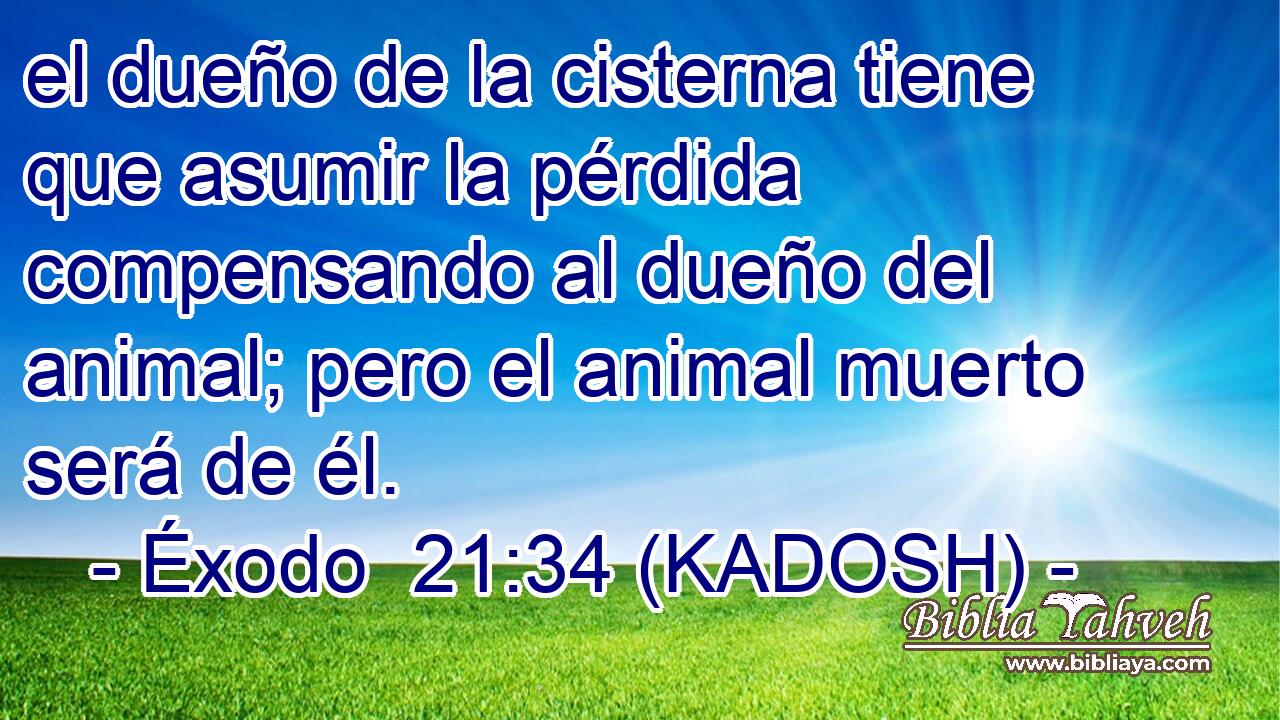  el dueño de la cisterna tiene que asumir la pérdida compensando al dueño del animal; pero el animal muerto será de él. 