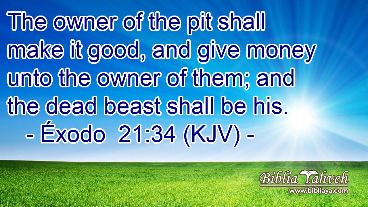 The owner of the pit shall make it good, and give money unto the owner of them; and the dead beast shall be his.