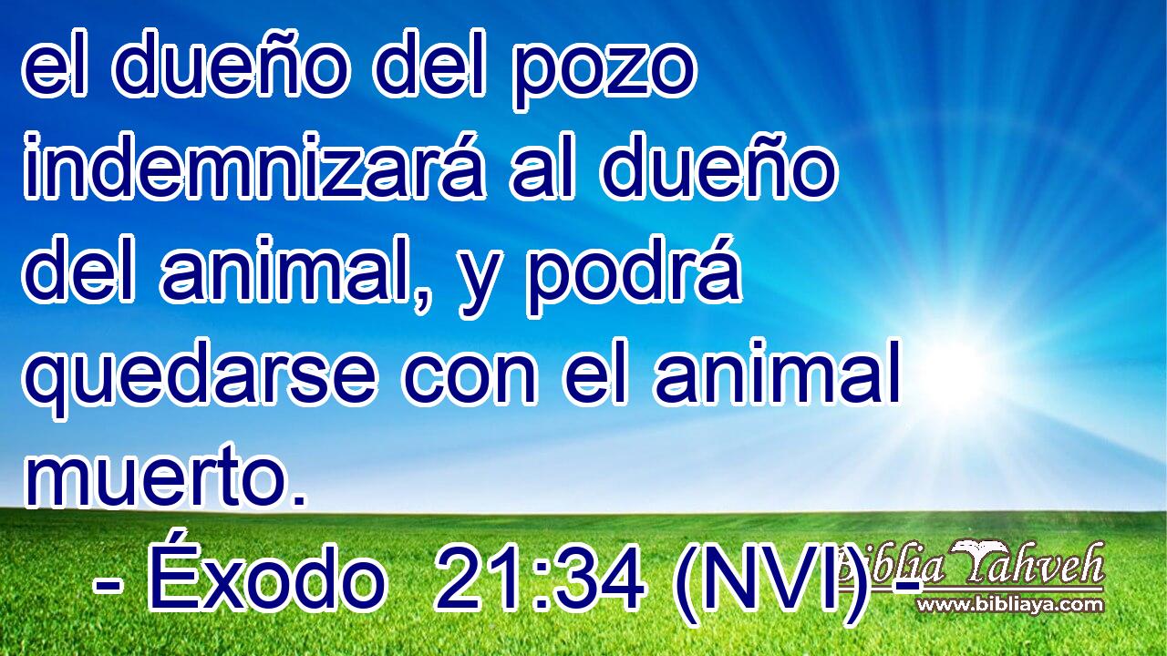  el dueño del pozo indemnizará al dueño del animal, y podrá quedarse con el animal muerto. 